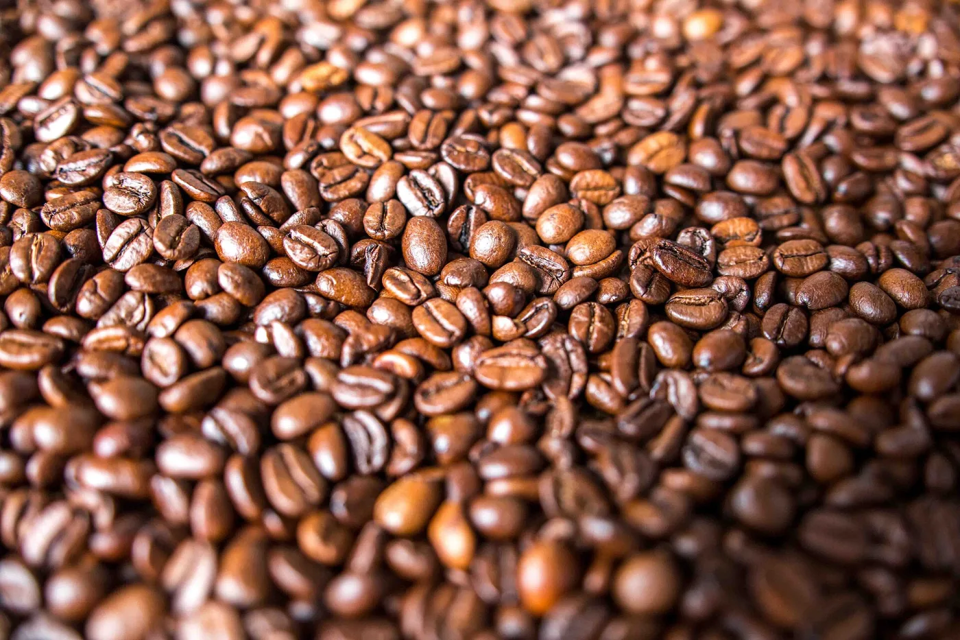Biji kopi sangrai sendiri - Kopi Senja (Usaha Demo)